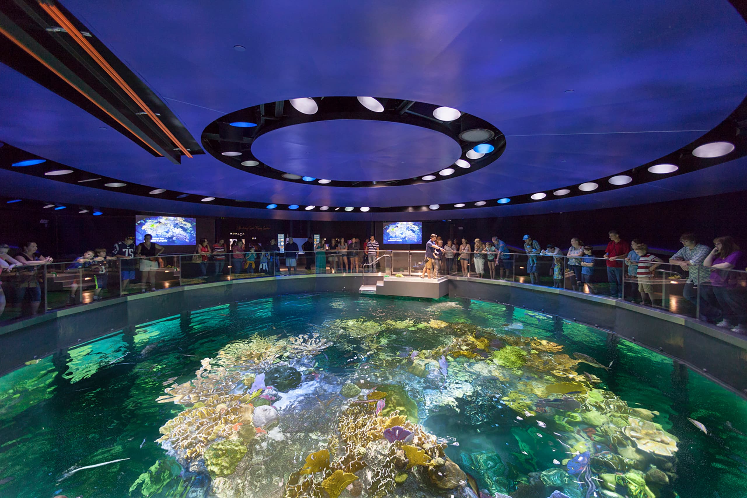 NEAq_01_available-light_museum NEAq_01_available-light_museum