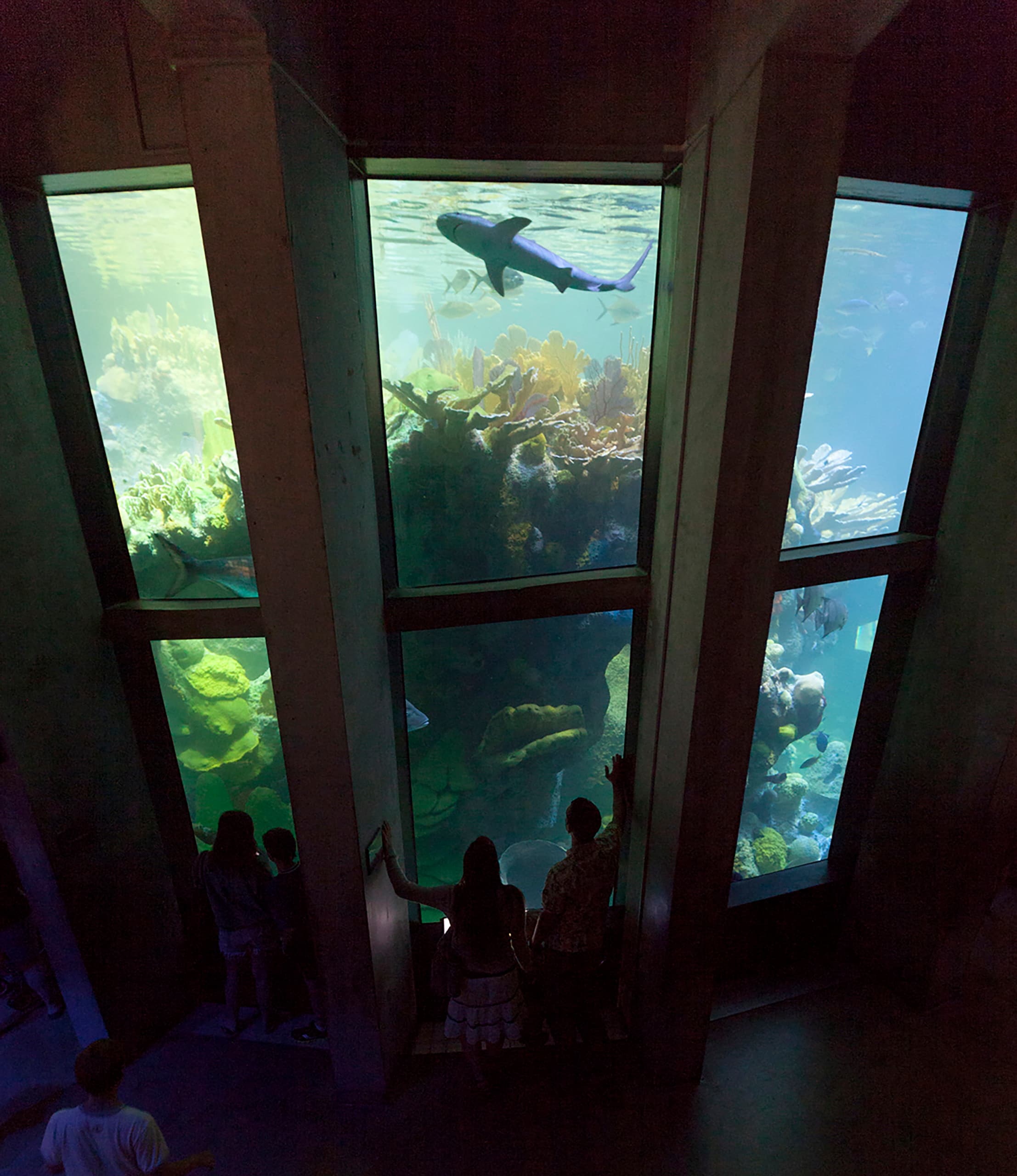 NEAq_02_available-light_museum NEAq_02_available-light_museum