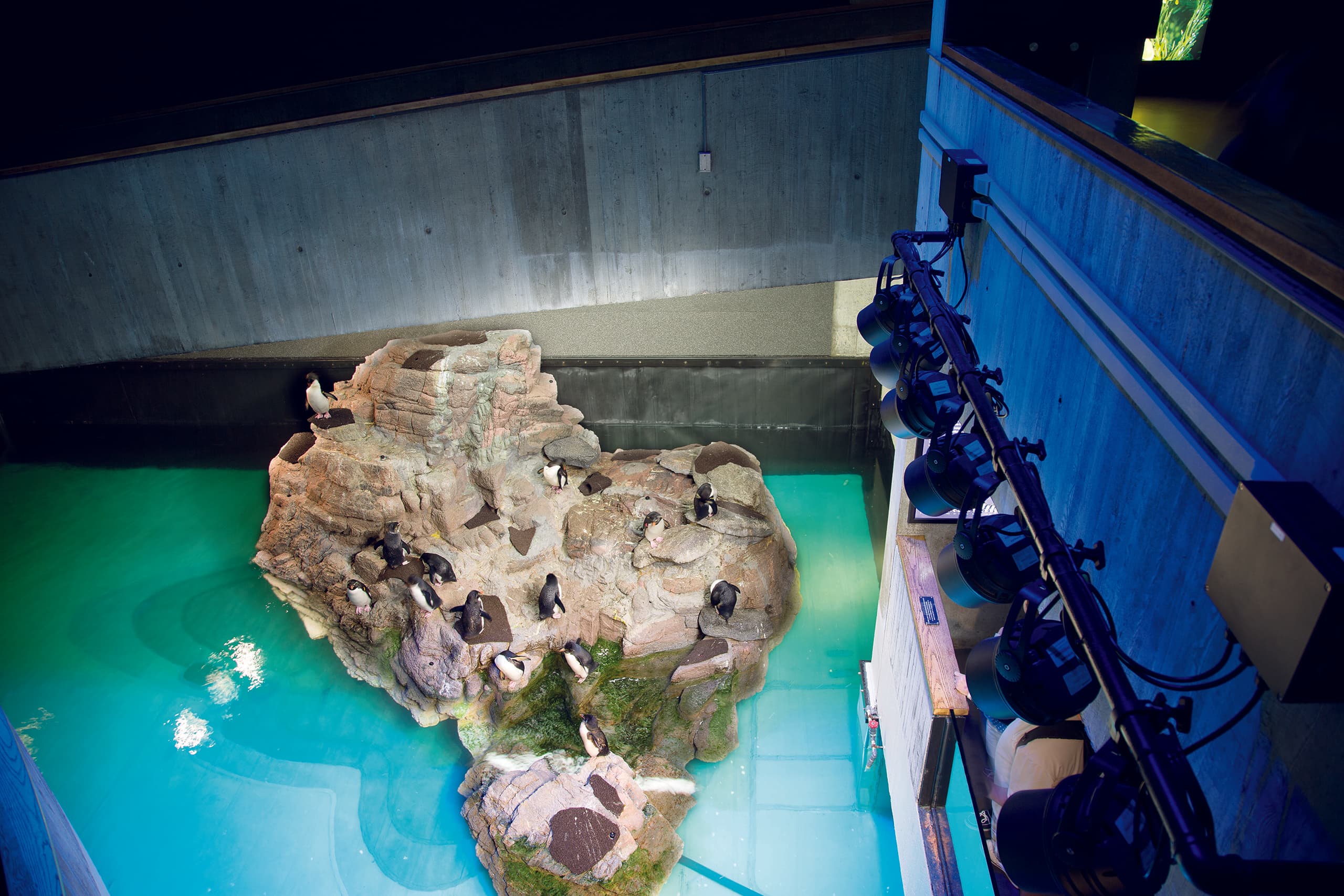 NEAq_04_available-light_museum NEAq_04_available-light_museum