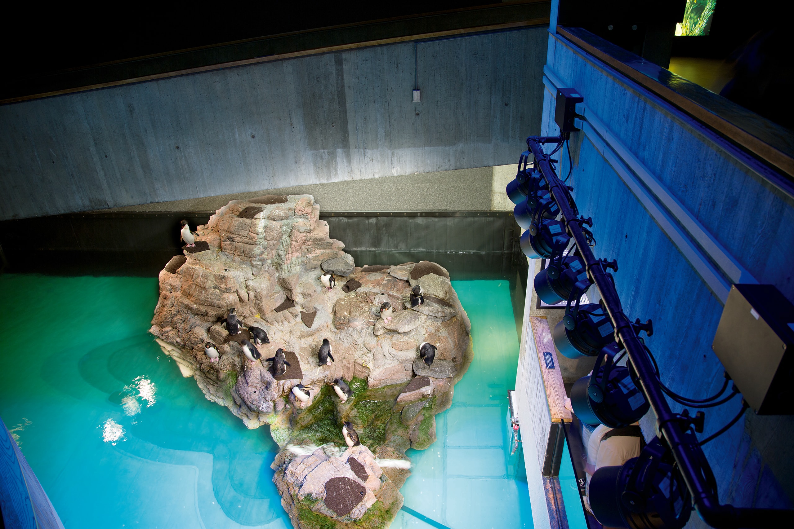 NEAq_04_available-light_museum NEAq_04_available-light_museum
