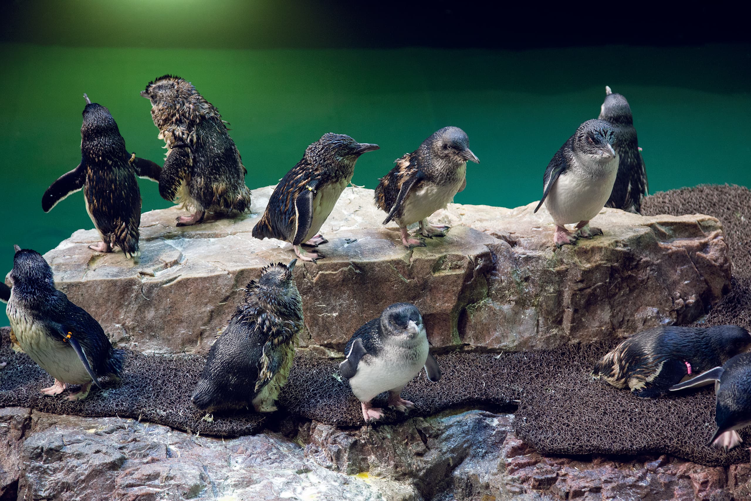 NEAq_05_available-light_museum NEAq_05_available-light_museum